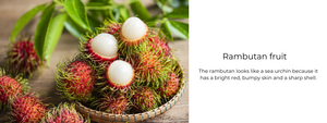 Rambutan fruit – Health Benefits, Uses and Important Facts