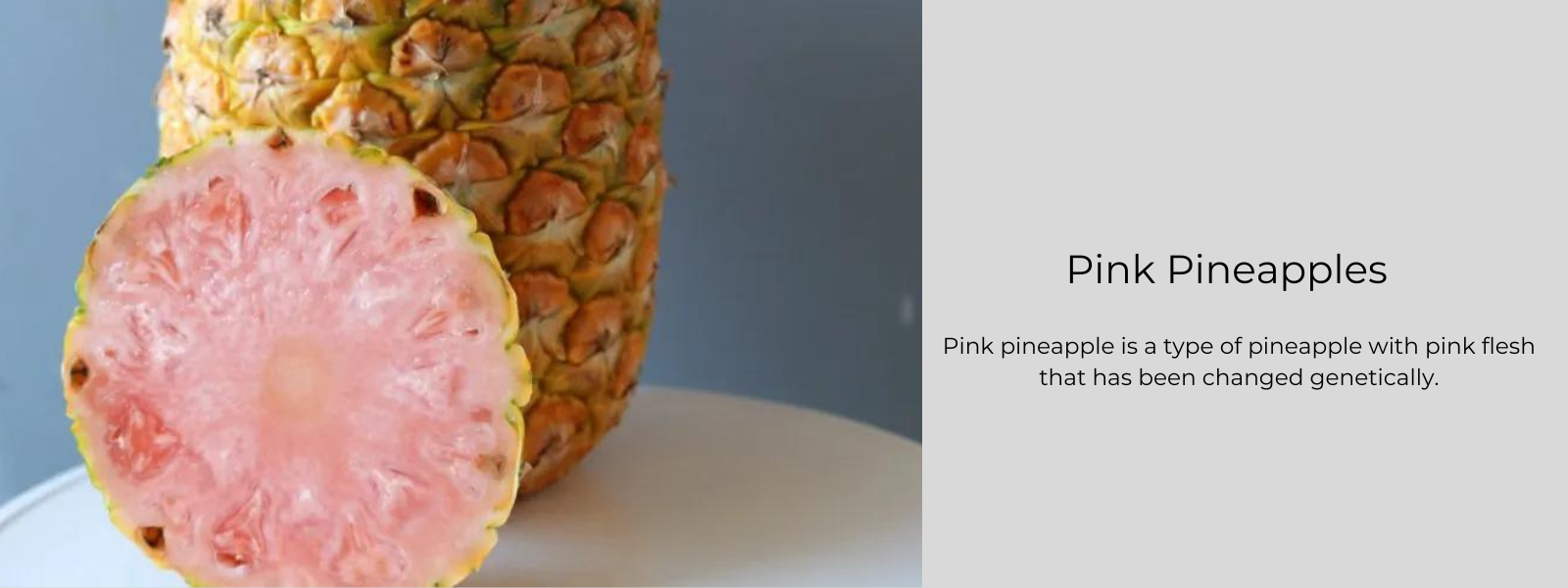 Pink Pineapples – Health Benefits, Uses and Important Facts
