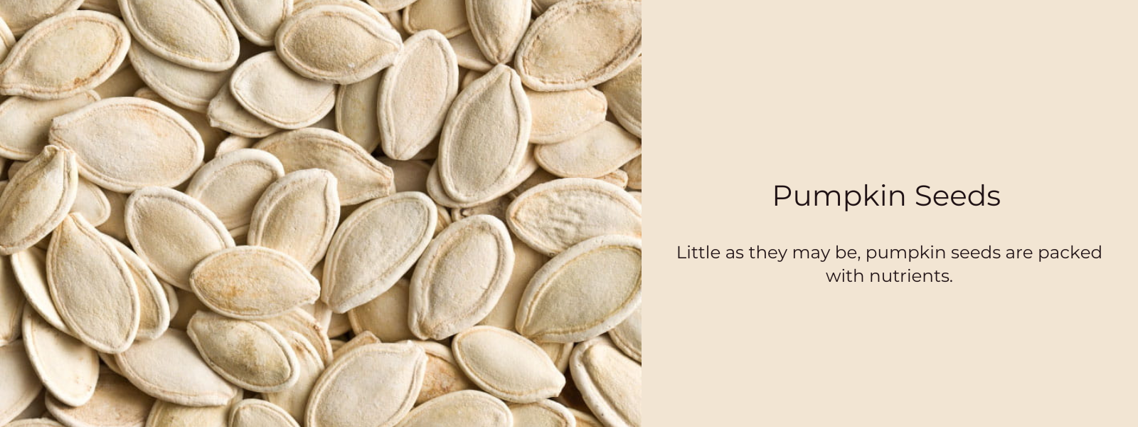 Pumpkin Seeds – Health Benefits, Uses and Important Facts