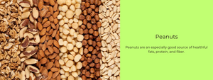 Peanuts – Health Benefits, Uses and Important Facts