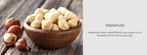 Hazelnuts – Uses, Health Benefits and Important Facts