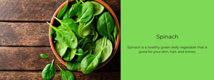 Spinach – Health Benefits, Uses and Important Facts