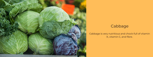 Cabbage – Health Benefits, Uses and Important Facts
