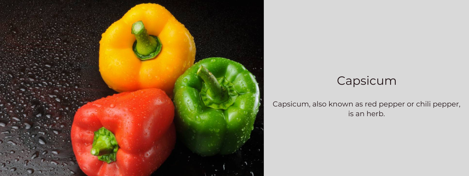 Capsicum – Health Benefits, Uses and Important Facts