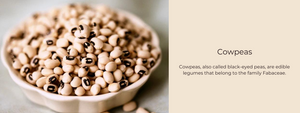 Cowpeas– Health Benefits, Uses and Important Facts
