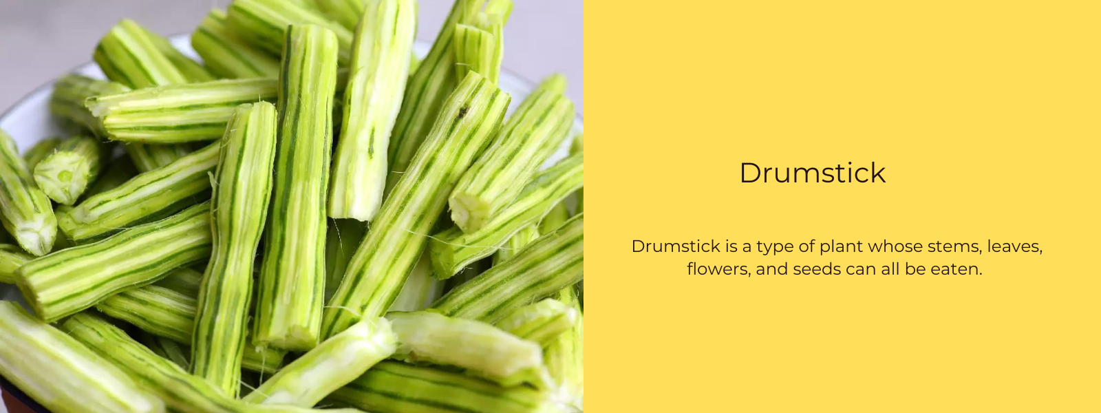 Drumstick – Health Benefits, Uses and Important Facts