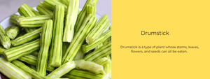 Drumstick – Health Benefits, Uses and Important Facts
