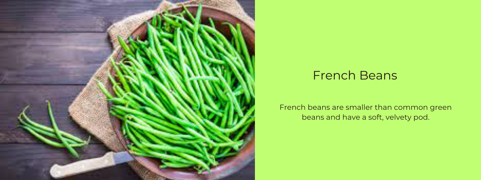 French Beans – Health Benefits, Uses and Important Facts