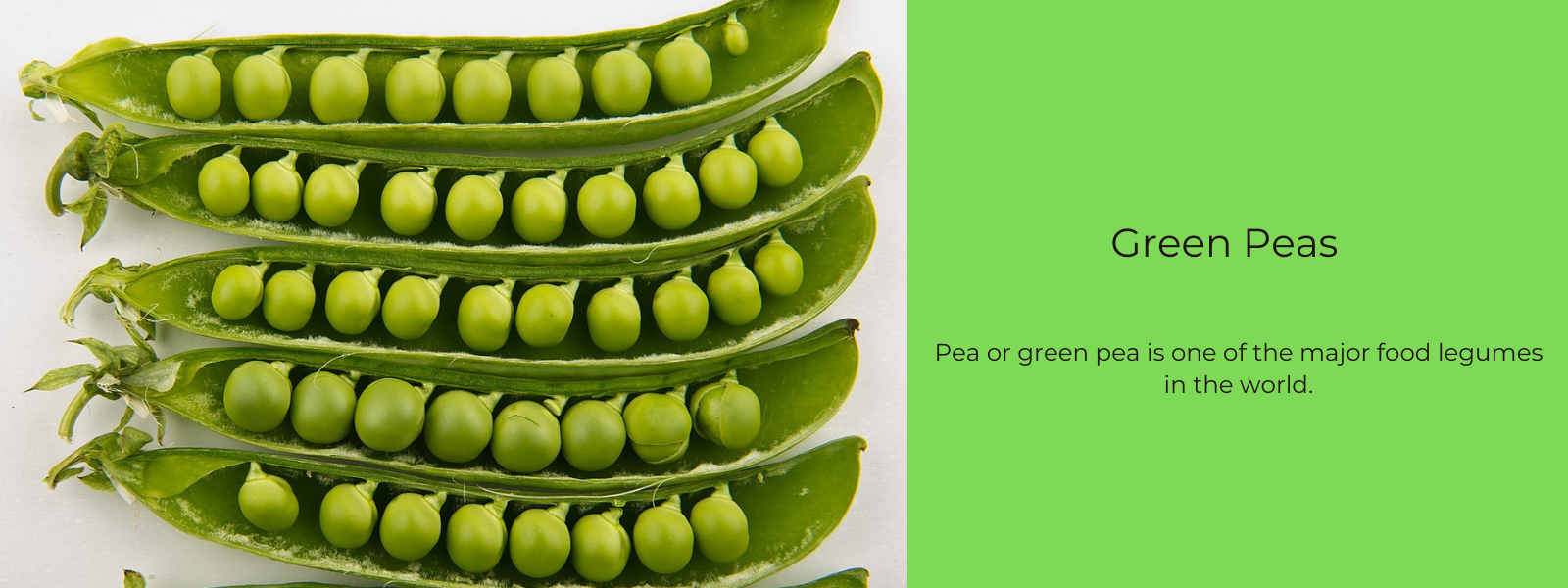 Green Peas– Health Benefits, Uses and Important Facts