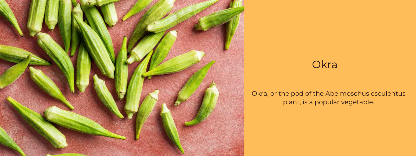 Okra – Health Benefits, Uses and Important Facts