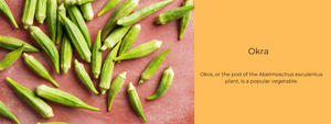 Okra – Health Benefits, Uses and Important Facts