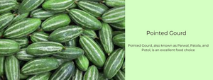 Pointed Gourd – Health Benefits, Uses and Important Facts