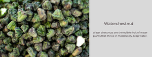 Waterchestnut – Health Benefits, Uses and Important Facts