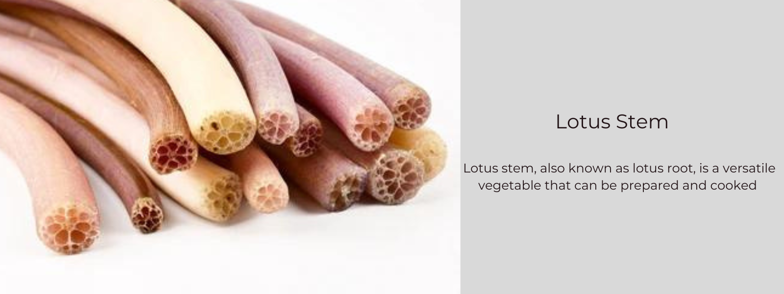Lotus Stem - Health Benefits, Uses and Important Facts