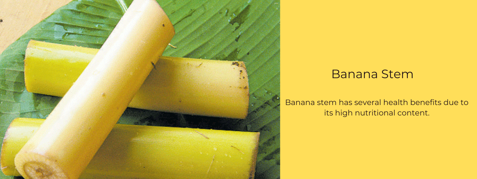 Banana Stem - Health Benefits, Uses and Important Facts