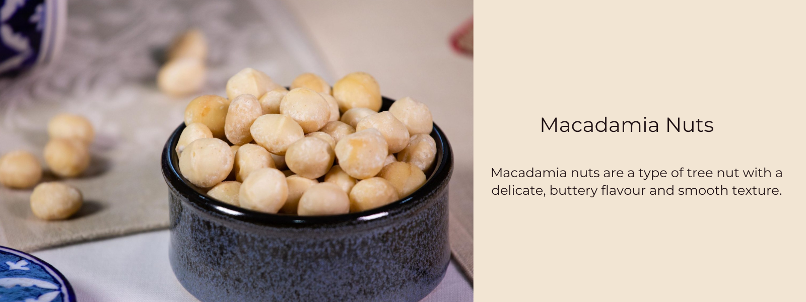 Macadamia Nuts Health Benefits, Uses and Important Facts