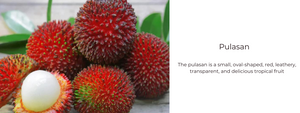 Pulasan – Health Benefits, Uses and Important Facts