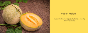 Yubari Melon – Health Benefits, Uses and Important Facts