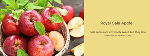 Royal Gala Apple – Health Benefits, Uses and Important Facts
