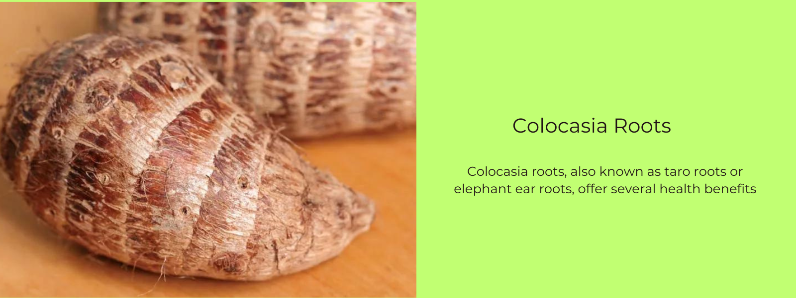 Colocasia Roots - Health Benefits, Uses and Important Facts