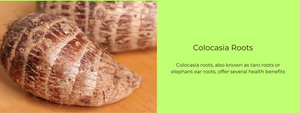 Colocasia Roots - Health Benefits, Uses and Important Facts