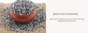 Black Gram (Urad dal) - Health Benefits, Uses and Important Facts