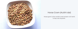 Horse Gram (Kulthi dal) – Health  Benefits, Uses and Important Facts