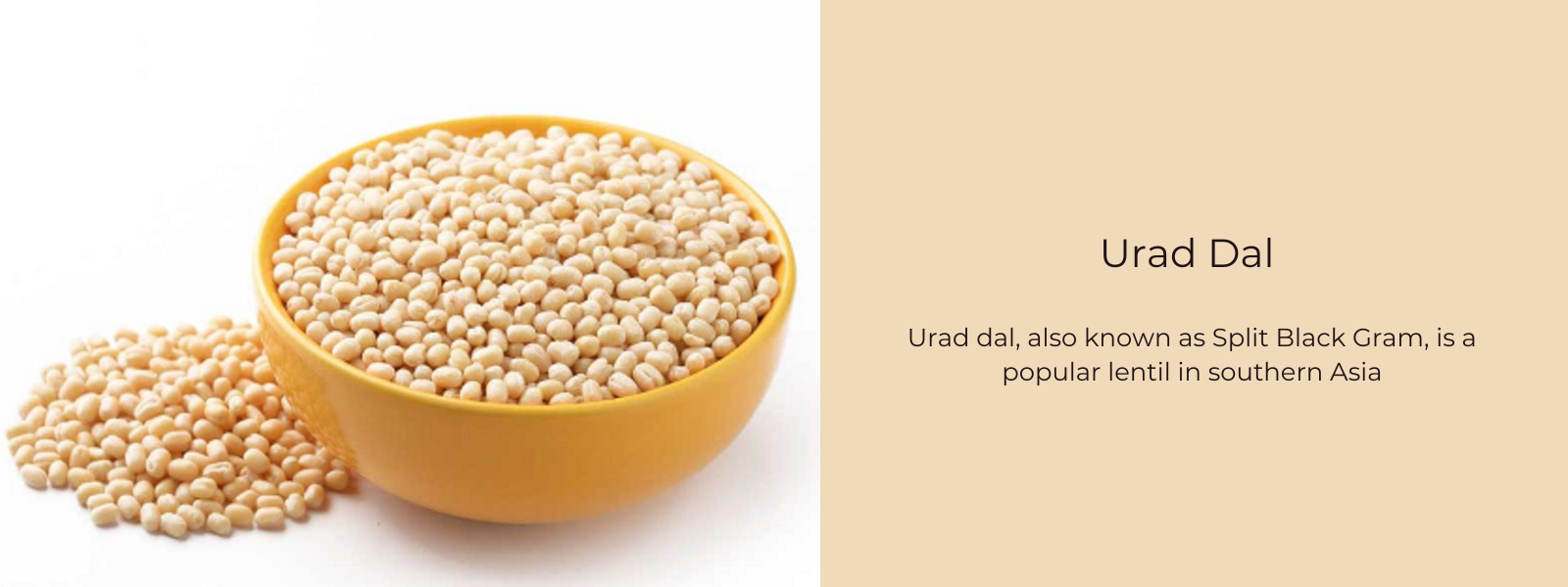 Urad Dal – Health Benefits, Uses and Important Facts