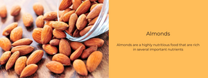 Almonds - Important Facts, Health Benefits and Uses