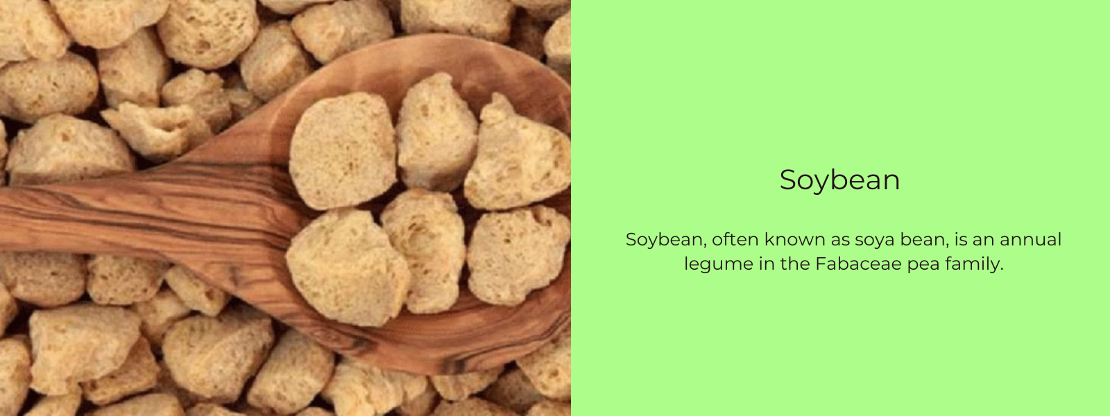 Soybean – Health Benefits, Uses and Important Facts