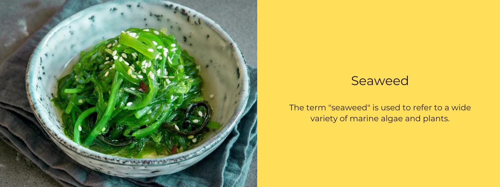 Seaweed – Health Benefits, Uses and Important Facts