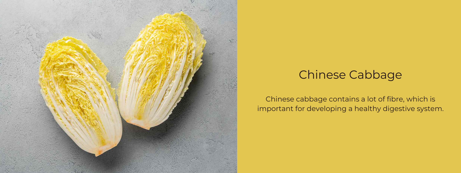 Chinese Cabbage – Health Benefits, Uses and Important Facts