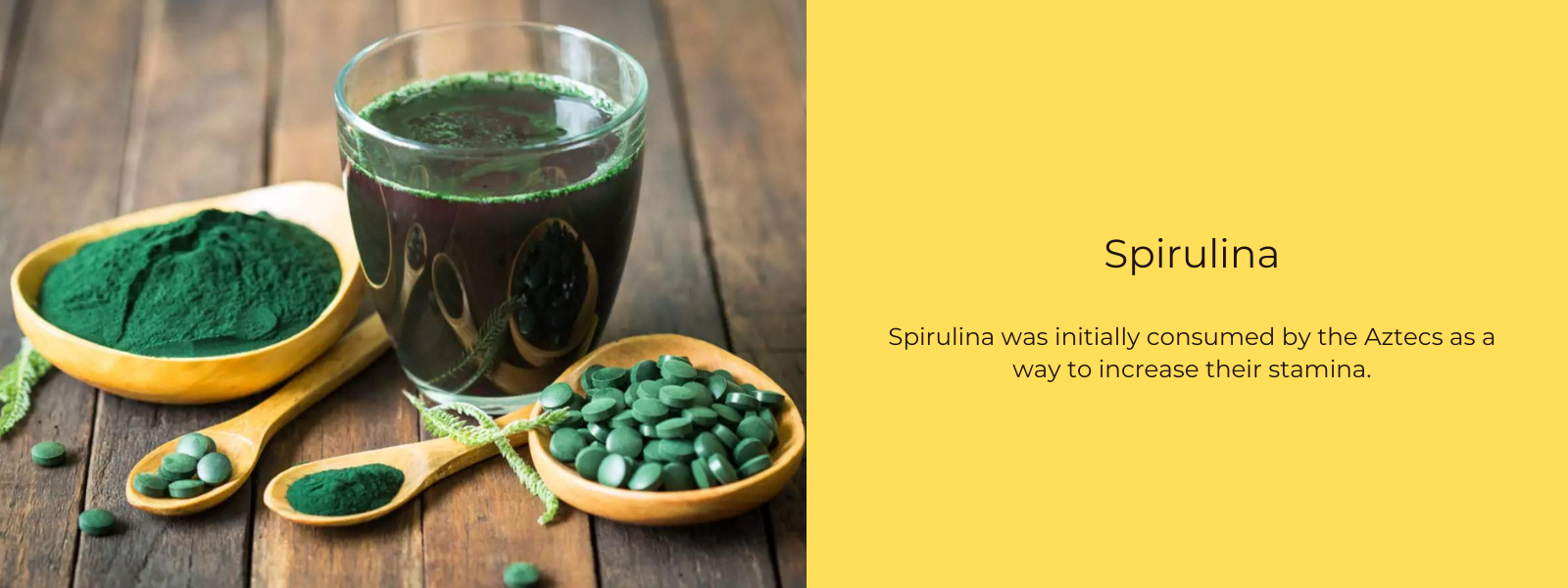 Spirulina – Health Benefits, Uses and Important Facts