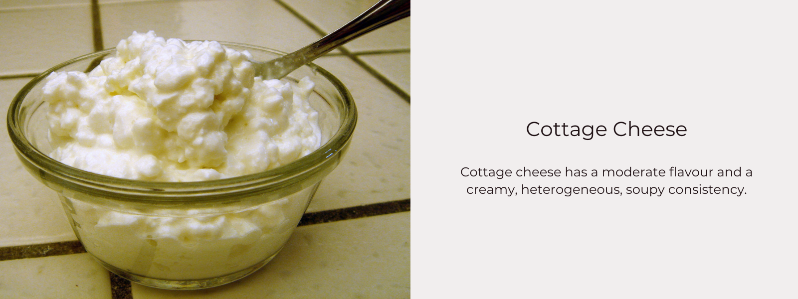 Cottage Cheese – Health Benefits, Uses and Important Facts