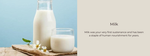 Milk – Health Benefits, Uses and Important Facts