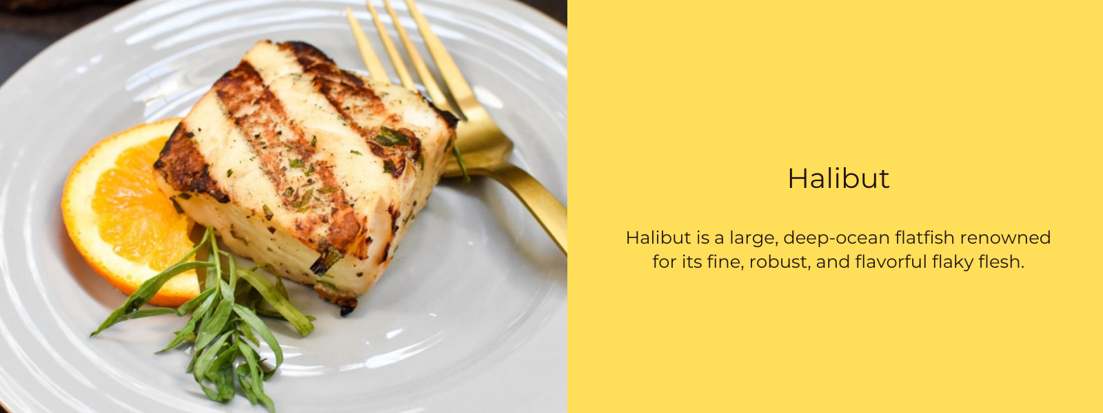 Halibut– Health Benefits, Uses and Important Facts