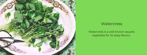 Watercress – Health Benefits, Uses and Important Facts