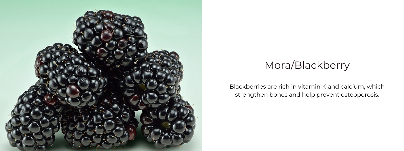 Mora or Blackberry – Health Benefits, Uses and Important Facts -  PotsandPans India