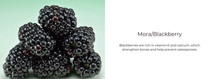 Mora or Blackberry – Health Benefits, Uses and Important Facts