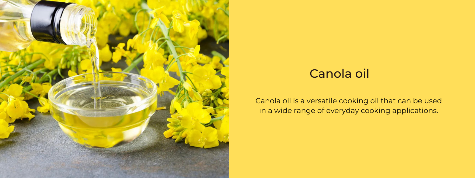 Canola oil - Health Benefits, Uses and Important Facts