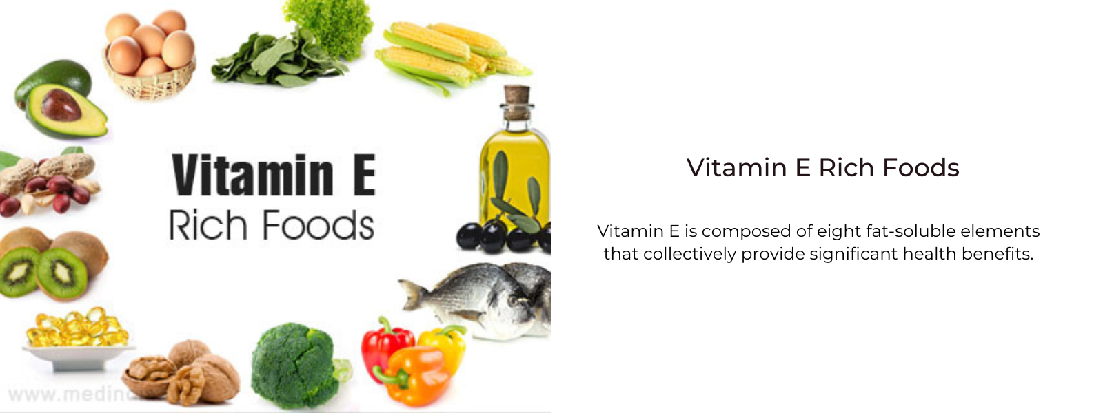 Vitamin E Rich Foods – Health Benefits, Uses and Important Facts
