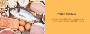 Protein Rich food – Health Benefits, Uses and Important Facts