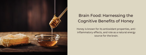 Brain Food: Harnessing the Cognitive Benefits of Honey