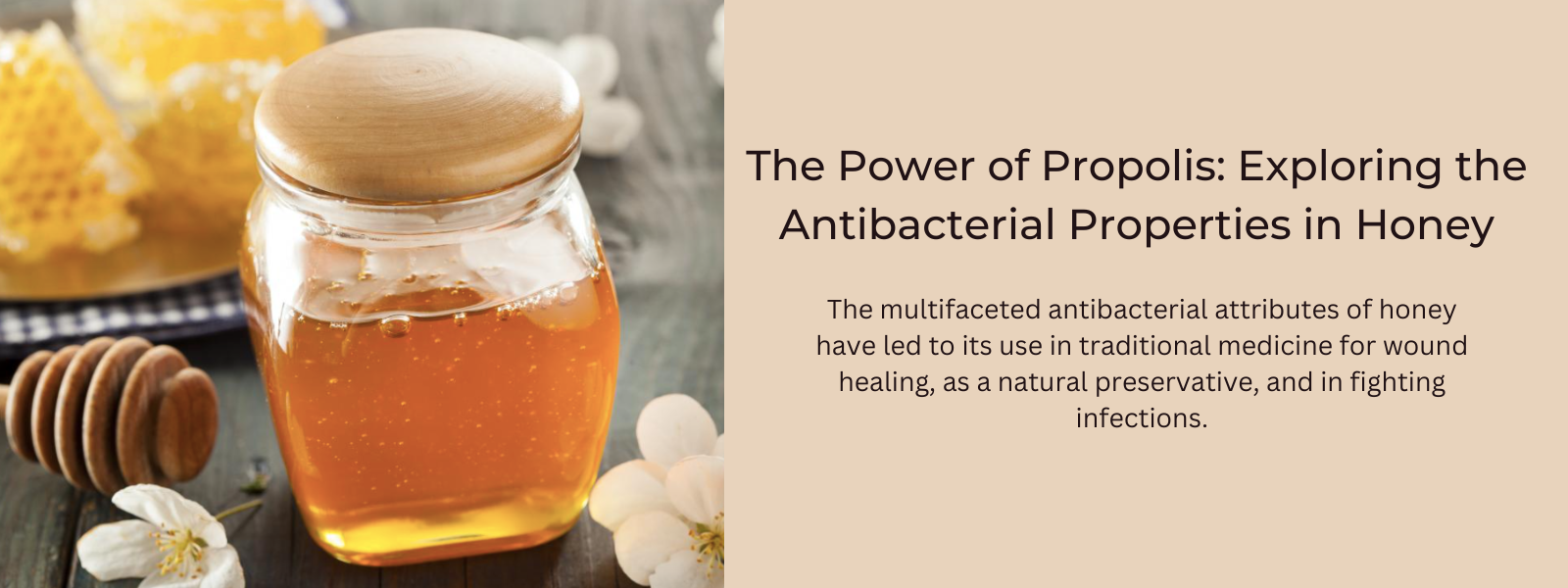 The Power of Propolis: Exploring the Antibacterial Properties in Honey
