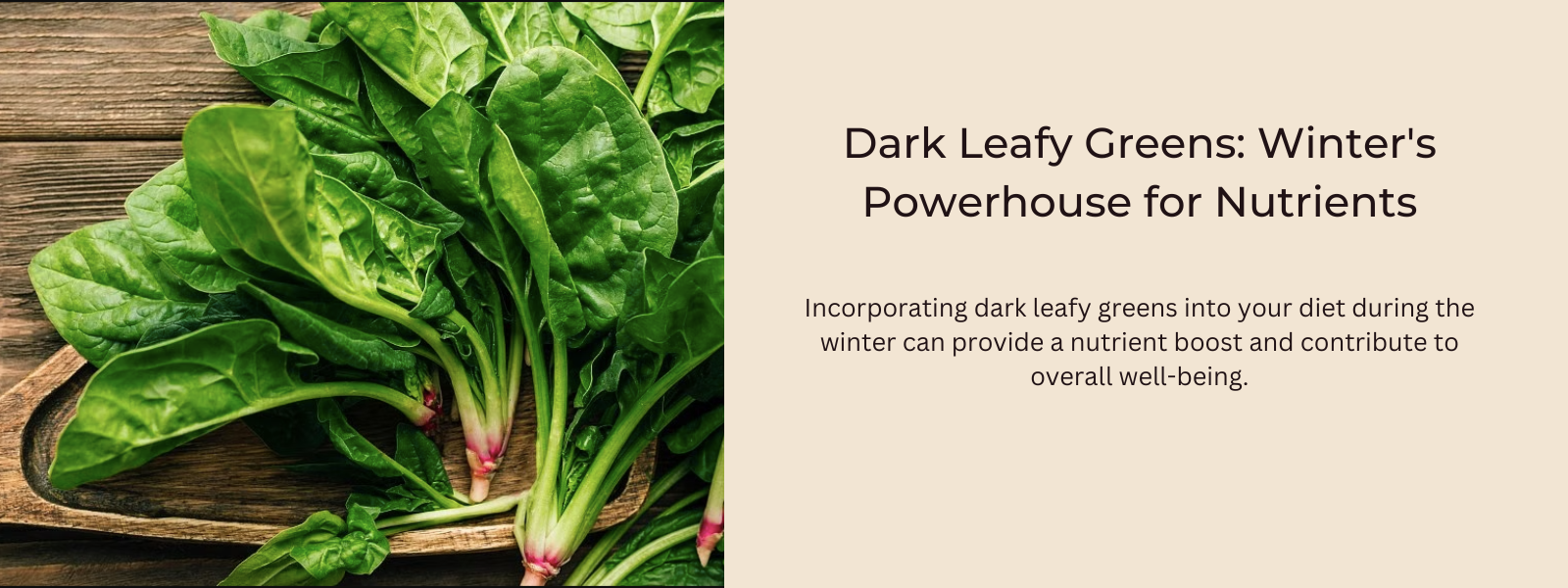 Dark Leafy Greens: Winter's Powerhouse for Nutrients