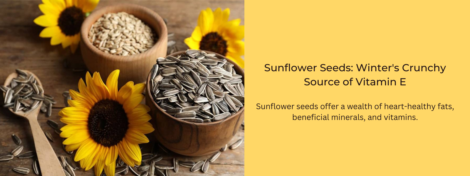 Sunflower Seeds: Winter's Crunchy Source of Vitamin E