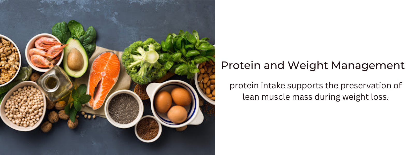 Protein and Weight Management: How It Aids in Fat Loss