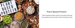 Plant-Based Protein: A Complete Guide for Vegans and Vegetarians