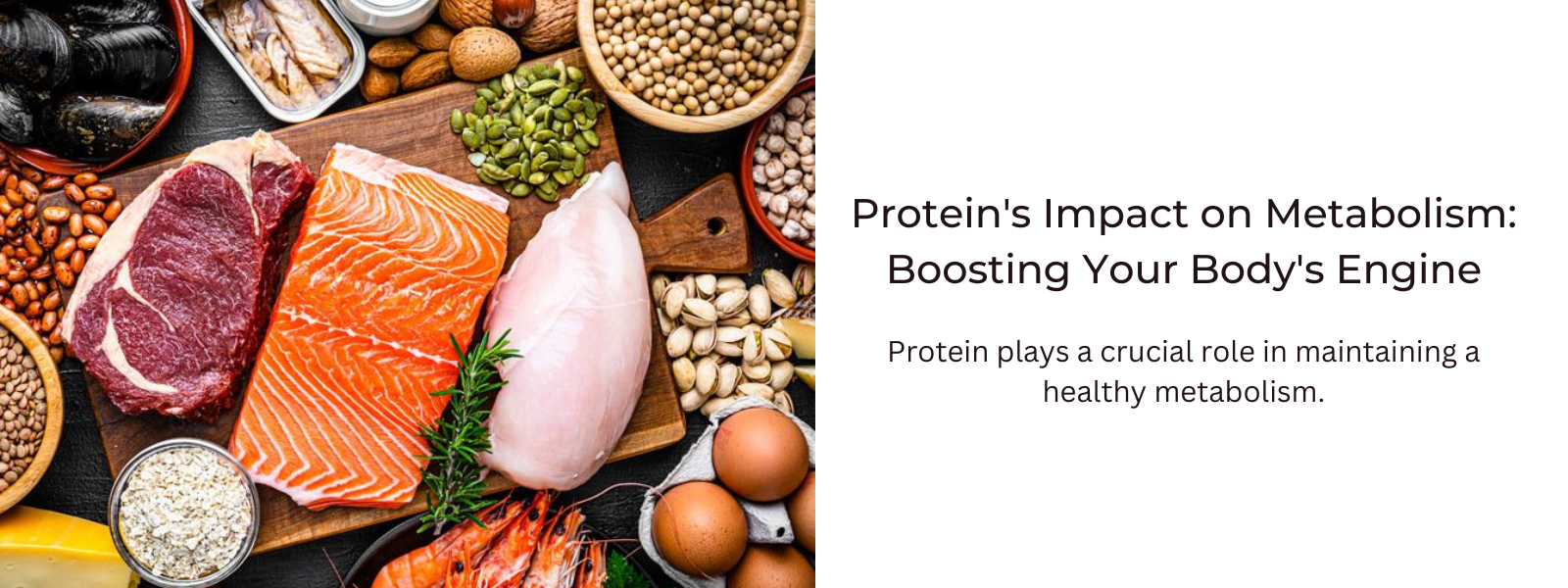 Protein's Impact on Metabolism: Boosting Your Body's Engine