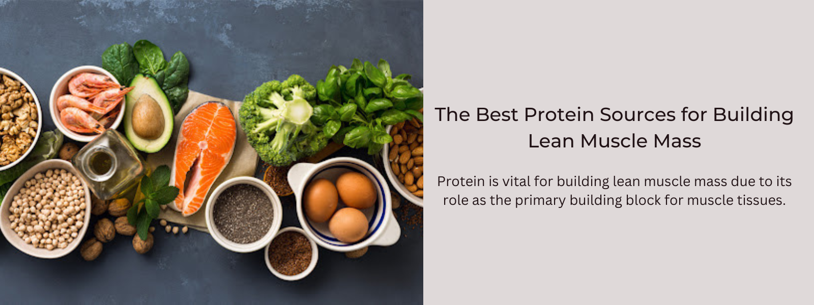 The Best Protein Sources for Building Lean Muscle Mass